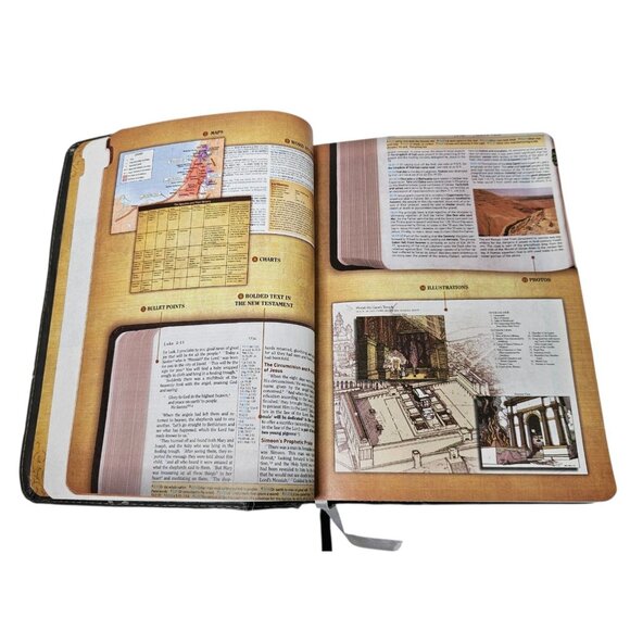 HCSB Holman Christian Standard Study Bible Indexed Gray Simulated Leather 2010 - Picture 12 of 16